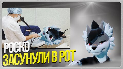 🐺 Роско о своём походе к врачу
