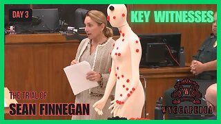 🟩Jury's View🟩 TN v. Sean Finnegan Death Penalty Trial | Key Witnesses | DAY 3