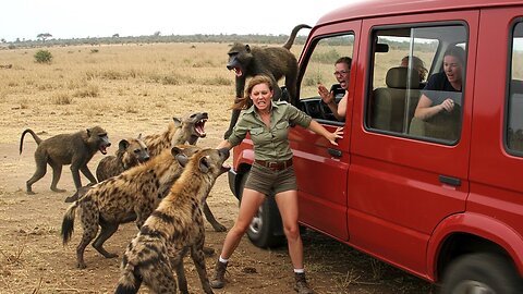 Incredible Safari Moments Caught on Camera That Left Tourists Speechless 😱
