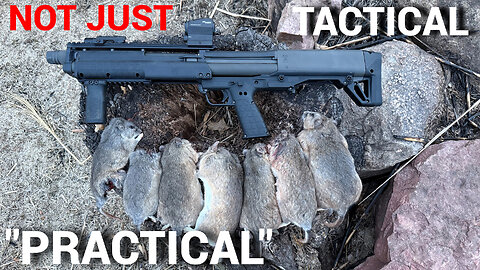 KSG 12 for "HUNTING"? Not just "TACTICAL" but "PRACTICAL" Shotgun.
