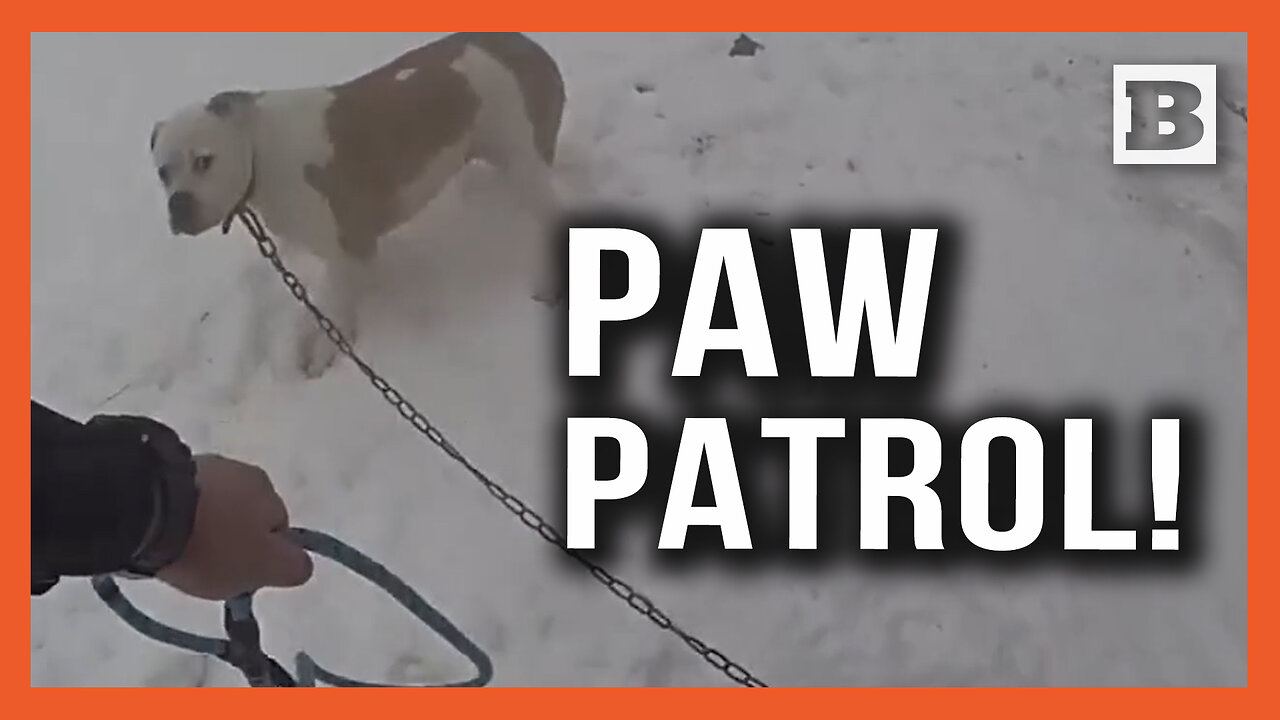 Paw Patrol! Officer Races to Rescue Dog on Leash Outside Home After 911 Call About Fire