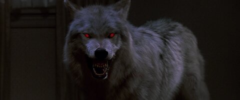 Fright Night 1985 werewolf horror