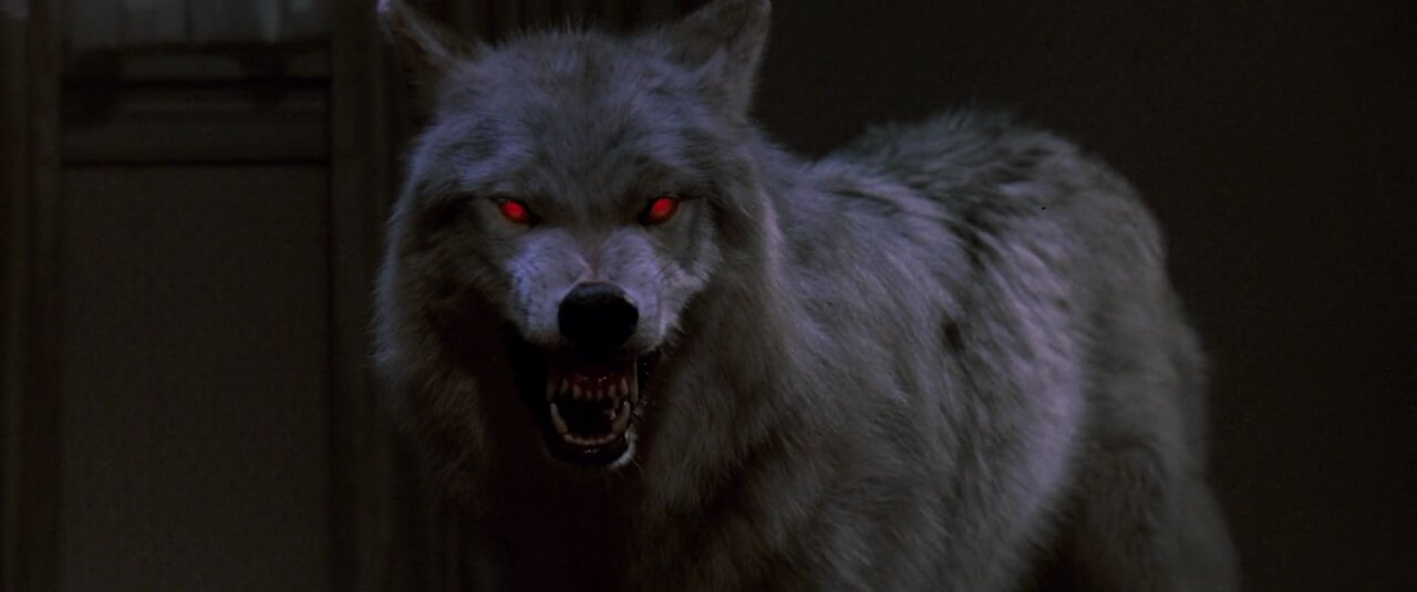 Fright Night 1985 werewolf horror