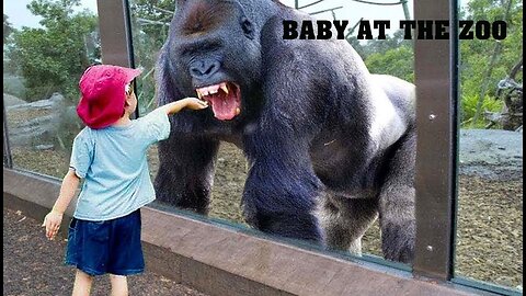 TRY NOT TO LAUGH _ Funny Babies At The Zoo - LAUGH TRIGGER