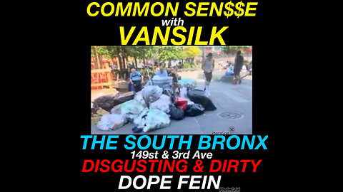 CS #5 My boro the Bronx is a horrific mess..