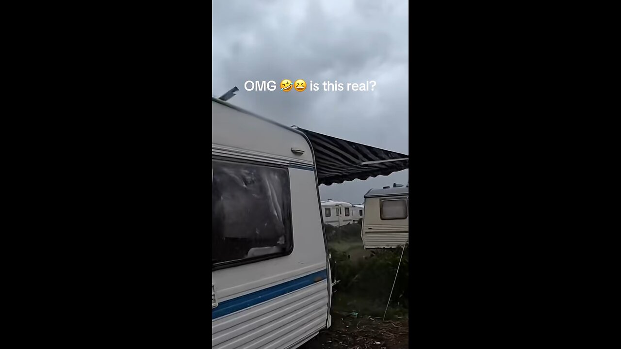 caravan in the wild