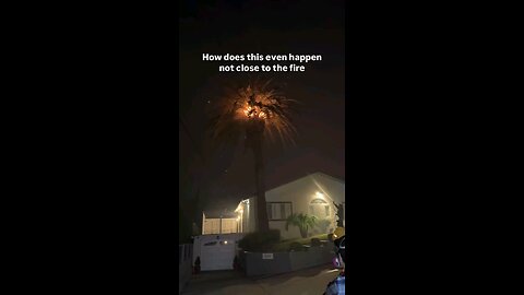 Los Angeles fire: Palm tree in garden of man who didn't even have a flame near his house caught fire