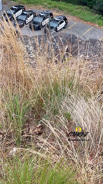 MAYBE THIS ONLY WORKS FOR THE TREX