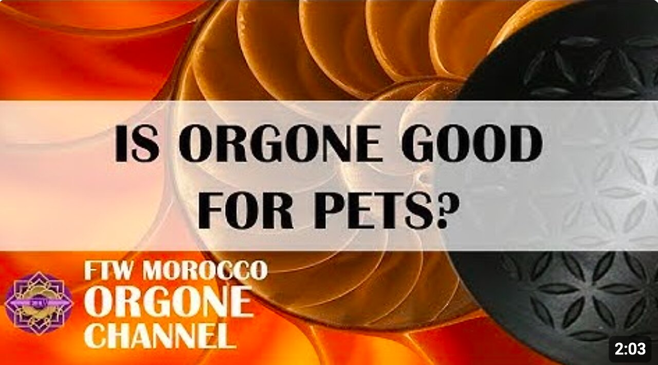 Is Orgone Good for Pets?