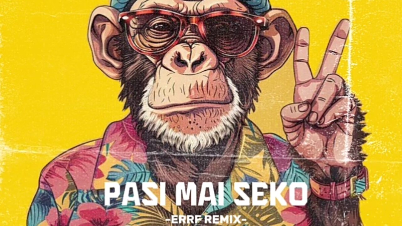 DJ PASI MAI SEKO - ERRIF SIMPLE REGGAE JUMP