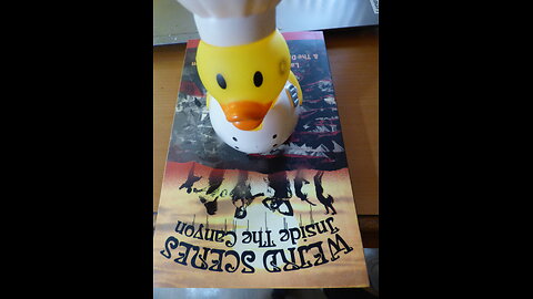 ~Mk Ultra False Flag America~