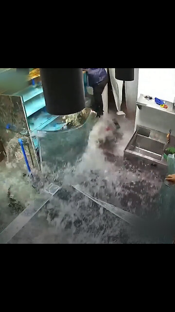 Explota una pecera en un restaurante chino