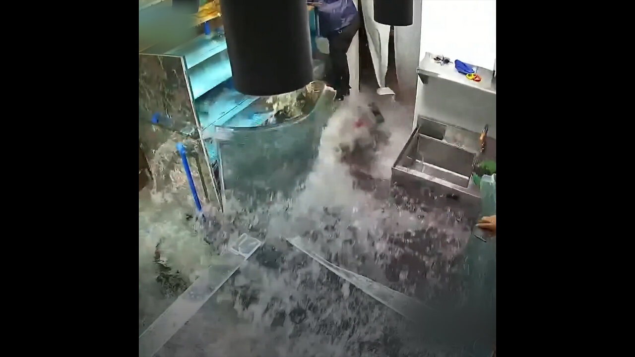 Explota una pecera en un restaurante chino