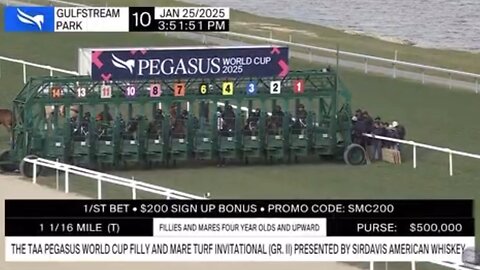 The 2025 Pegasus World Cup Filly and Mare Turf Invitational (G2)