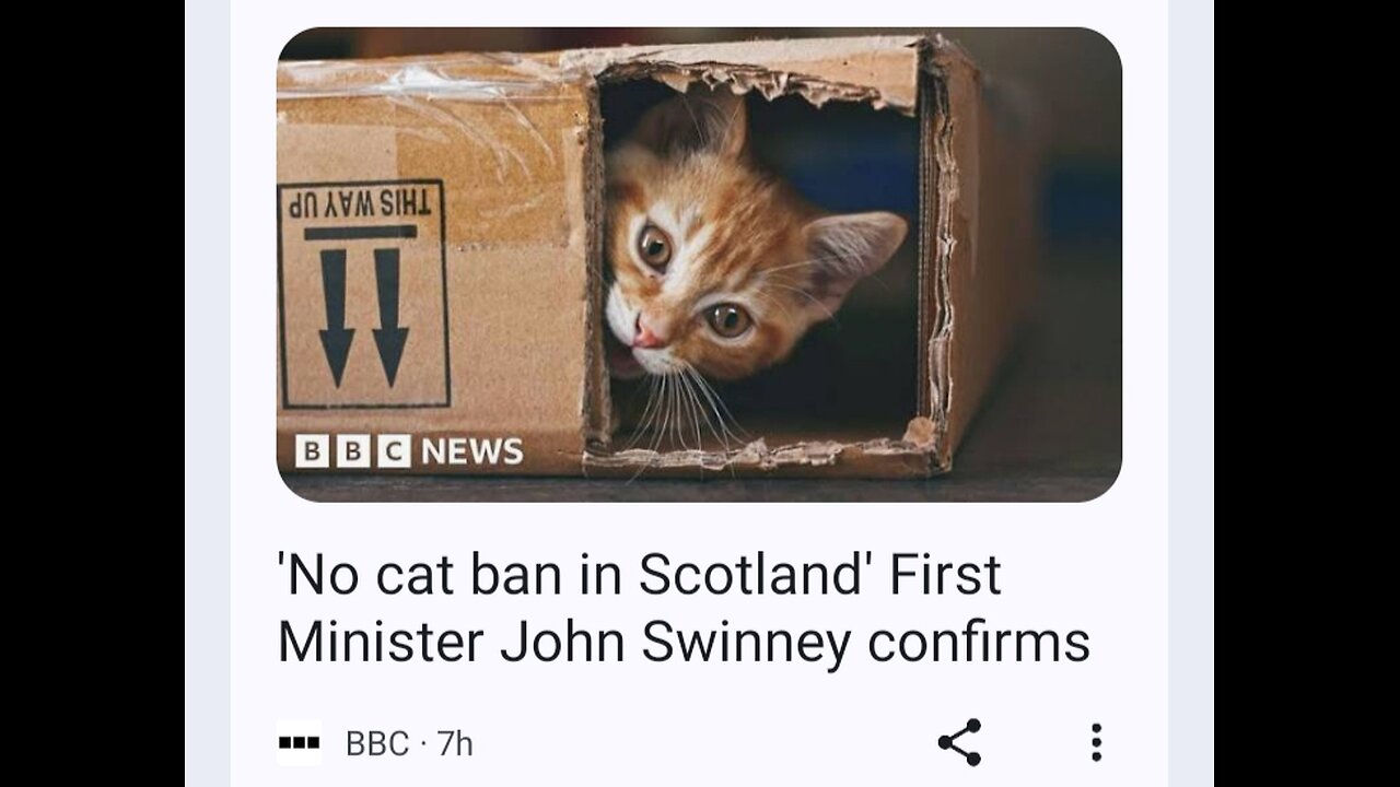 Walkie talkie: John Swinney's Cat Problem