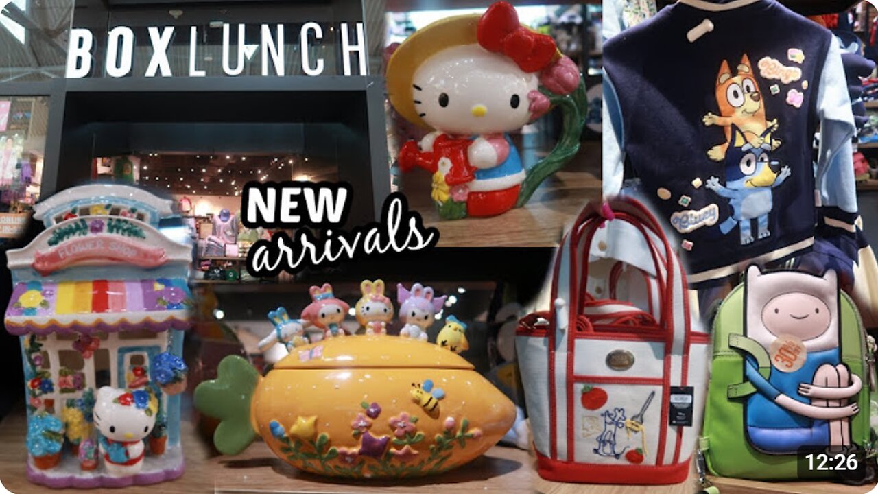 BOX LUNCH * NEW HELLO KITTY FINDS & MORE