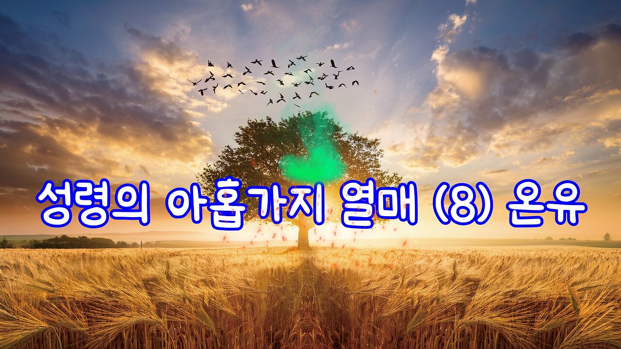 성령의 아홉가지 열매 (5) 자비