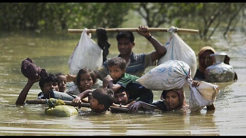 The Water Won't Clear Up Until You Get the Pigs Out of the Creek
