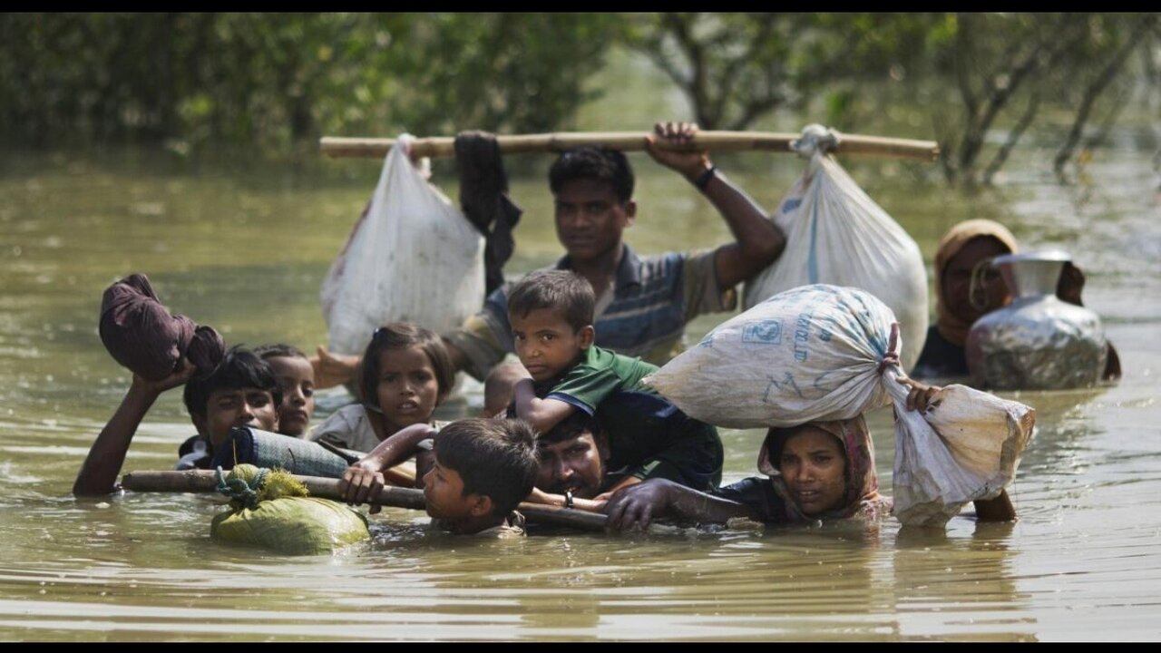 The Water Won't Clear Up Until You Get the Pigs Out of the Creek