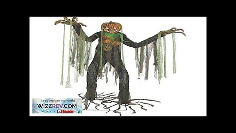 Root Of Evil Animated Scarecrow Decoration Review