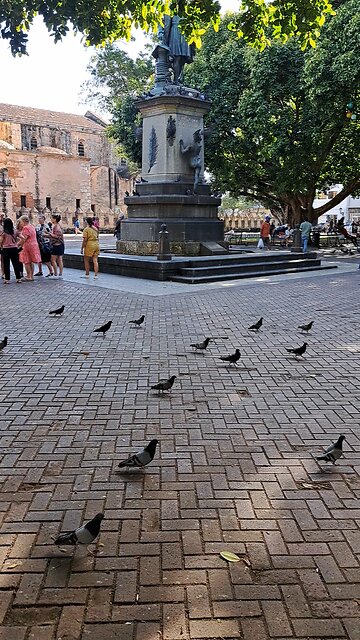 Check out the beauty of Zona Colonial in Santo, Domingo, Dominican Republic. #dominicanrepublic