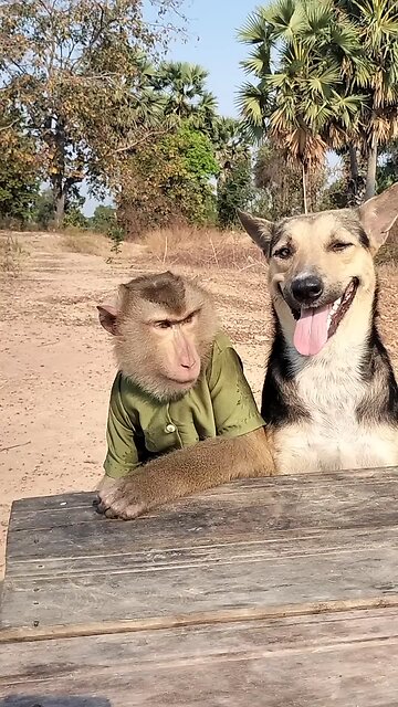 Well Best SokYaa, OG, Pao & Mom Are Famous Around The World #shorts #anime #trend #edit