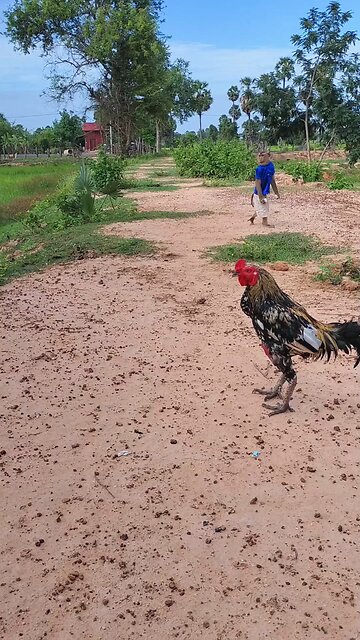 Best SokYaa, OG, Pao & Mom Are Videomous Around The World #shorts #anime #trend #edit