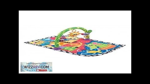 Playgro Large Activity Play Giggle Beach Gym Review