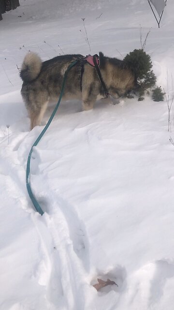 Saturday February 22, You are my refuge’s