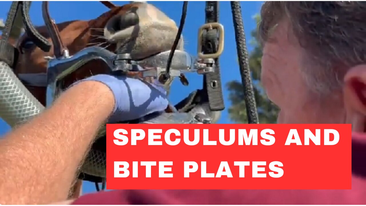 How to Find Speculums and Bite Plates