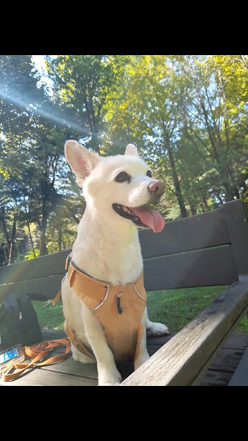 20251008. God Is Love.