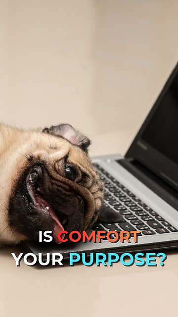 Is Comfort Your Purpose?