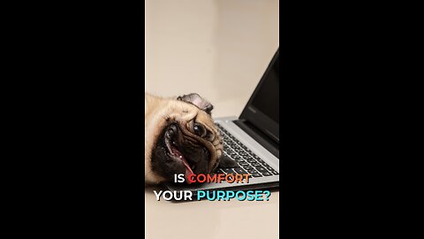 Is Comfort Your Purpose?