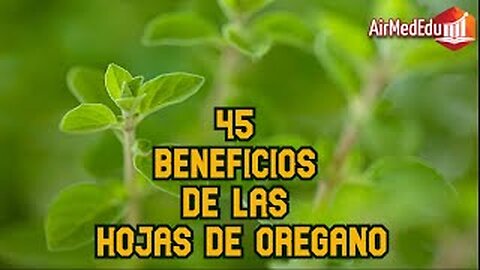 45 Beneficios de las Hojas de Oregano