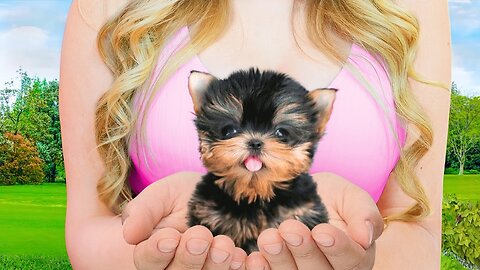 I Adopted The World's SMALLEST DOG! 🐶🐾 (Meet Mojo)