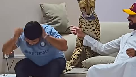 Dangerous Cheetah Attack on My Face _ Nouman Hassan _