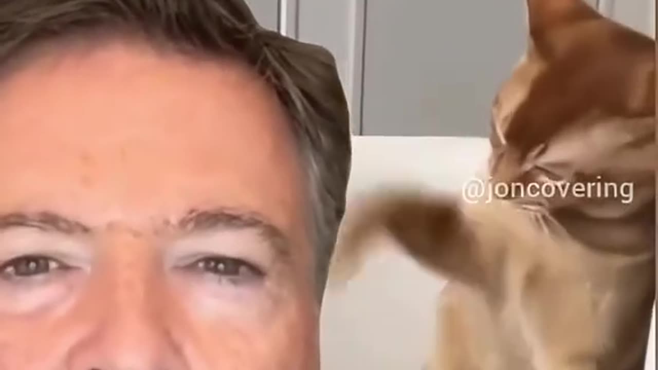 COMEY BIT*H SLAPPED LOL 😝