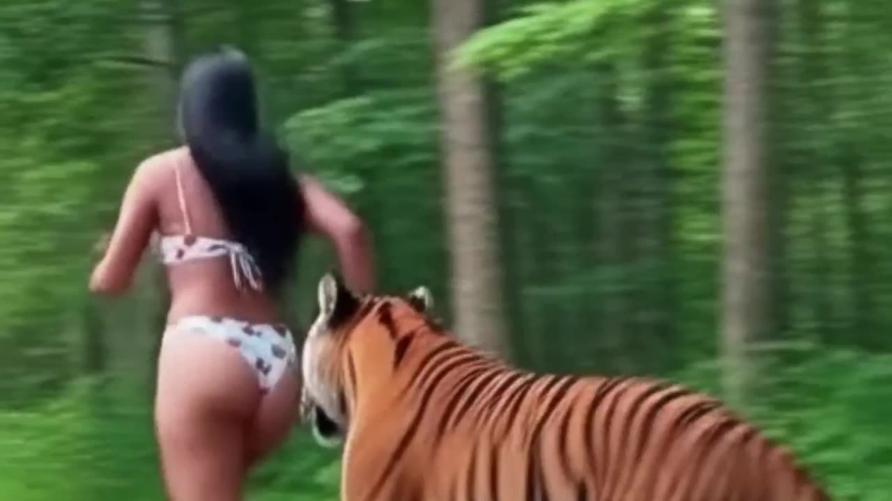 Beautiful girl playing with tiger