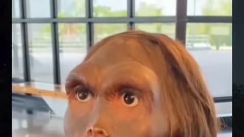 ⚠️👻 Real Poltergeist Activity? Objects Move on Their Own | TheHauntingHour