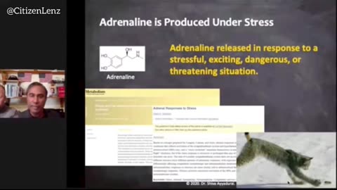 How Torture Makes Adrenochrome