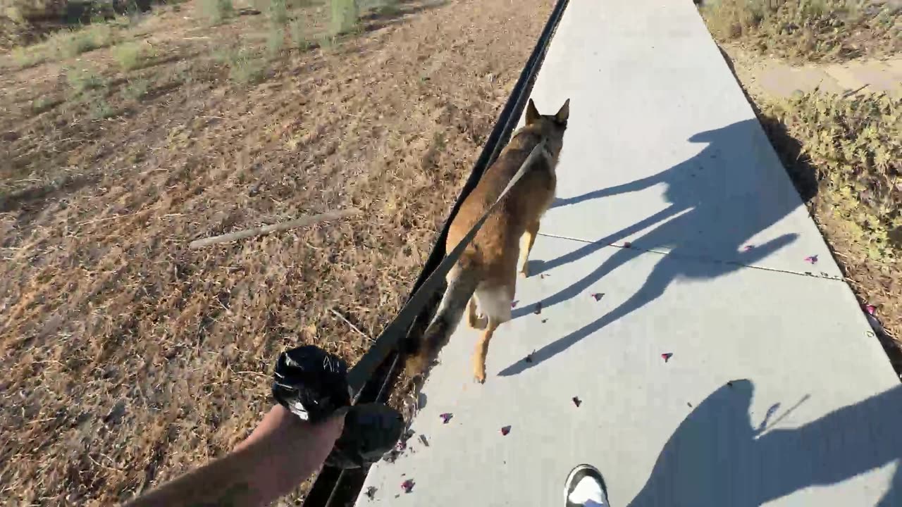 Random Stream IRL
