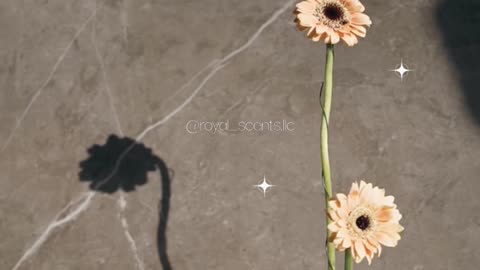 Happy Sunday Guys 🥰