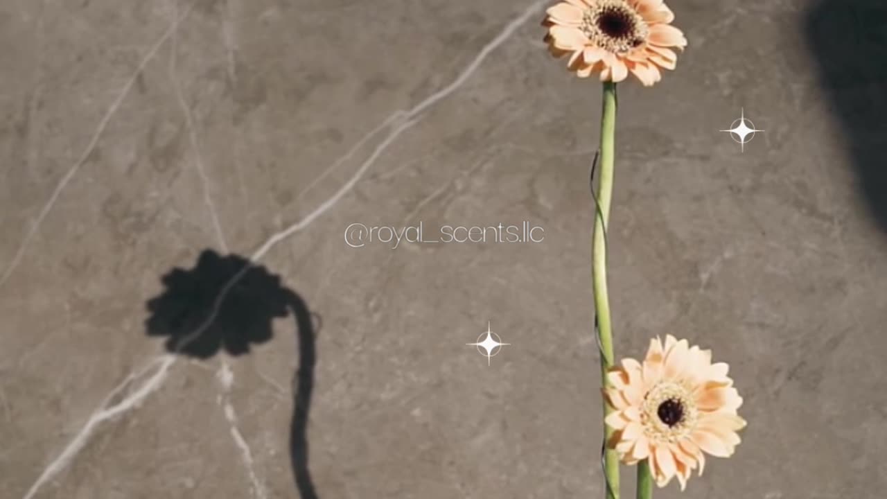 Happy Sunday Guys 🥰