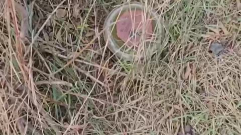 "Hostri Kartuzy" unit showed how the occupiers are trying to cut off the logistics of the