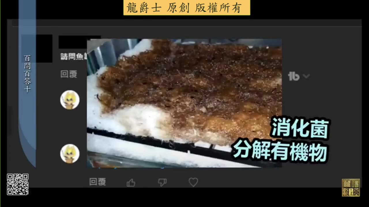 【龍爵士】千問千答 Q97 魚缸都是蛋白泡要怎麼消除