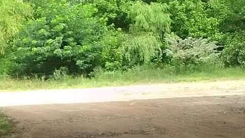 Laguna de las Lavanderas y los puentes - Tacuarembó 07/01/2026