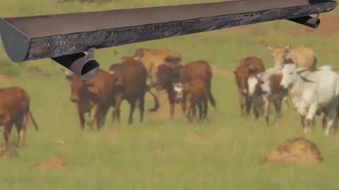 Superior Standard Feed Bunk