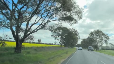 From Albury NSW back to Victoria