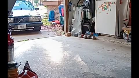 Same live as Rumble on dec 22 2025 Christmas Rituals, what an audio difference!