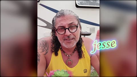 Narcissist Chronicles